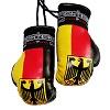 FIGHT-FIT - Mini Boxhandschuhe / Deutschland