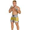 FIGHTERS - Muay Thai Shorts / Silber-Grau