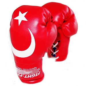 https://www.fight-fit.ch/root_Admin_FightFit/Images/Products/300px/FIGHT-FIT-MiniBoxingGloves-Turkey-2020.jpg