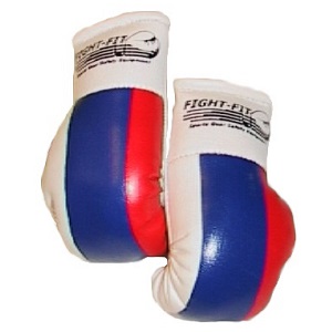 Mini Boxhandschuhe Serbia – 5elements-sports